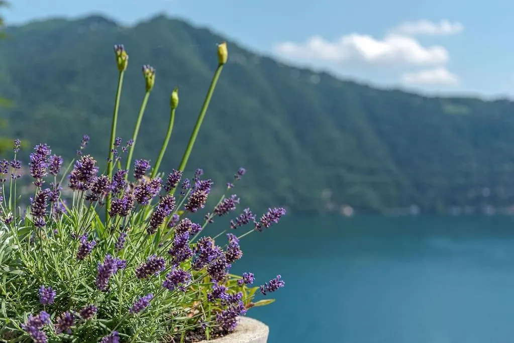 Suite In Villa Emilia- Amazing Lake View 切尔诺比奥 公寓